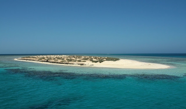IMG_6559 Isole Hamata, Red Sea